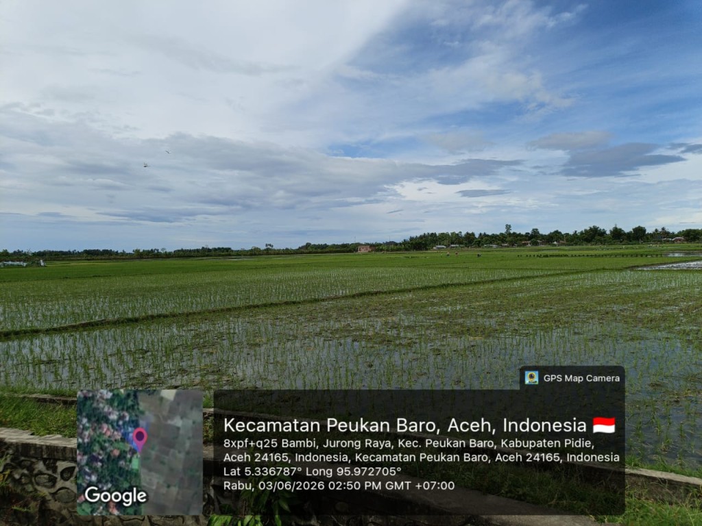 Gampong Jurong Raya masyarakatnya sebagian besar bekerja sebagai petani 