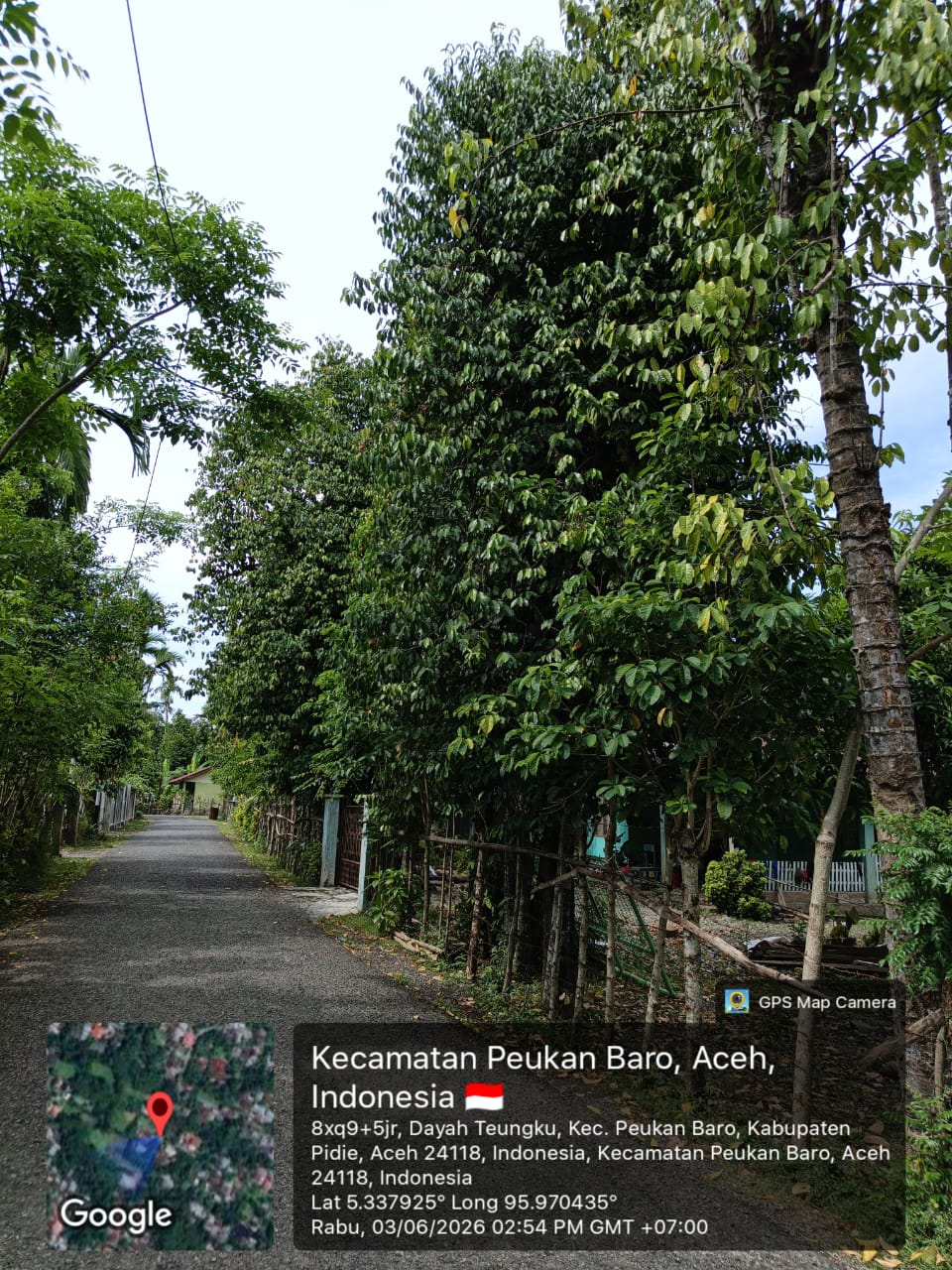 Dibeberapa rumah warga ada juga ditemui pohon melinjo yang buahnya bisa untuk dijual dan diolah